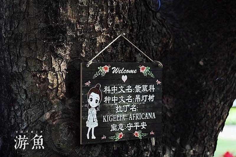 每天排便一次就会健康吗?-一个专注于讨论与分享的红迪网社区